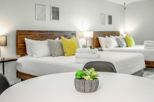 Studio Apartment