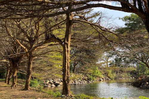 Beautiful natural surroundings