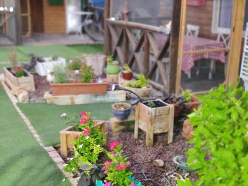 Libi Bamidbar, Healing & Relaxation Resort in The Dead Sea Libi Bamidbar, Healing & Relaxation Resort in The Dead Sea