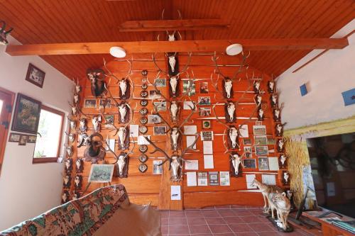 Fuzesi Papa Vendeghaza in Bölcske