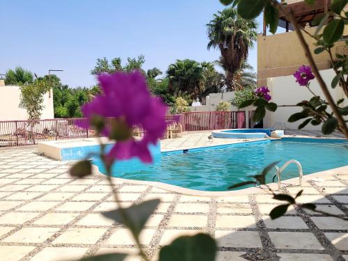 Swimming pool, مون لايت Moon Light Villa in Senoures