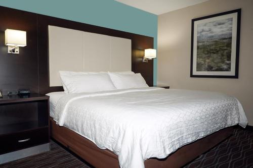 1 king bed