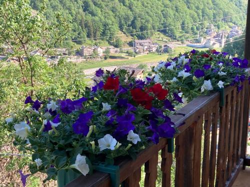 Suite with Balcony and Mountain View