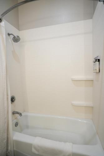 Holiday Inn Express Hotel & Suites Cedar Hill an IHG Hotel - image 28