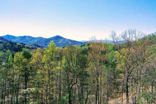 Peace of Heaven ~ Modern Chic Cabin w/ Majestic Mountain Views