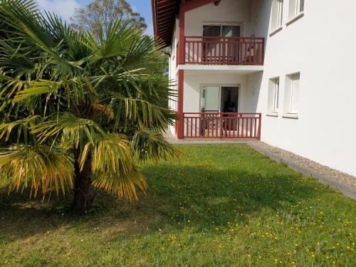 Appartement T2 - au calme et proche centre ville - idéal curistes et vacanciers (Appartement T2 - au calme et proche centre ville - ideal curistes et vacanciers) in Espelette