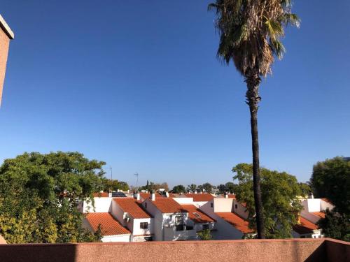 Familia Anfitriona acoge terraza, Siviglia
