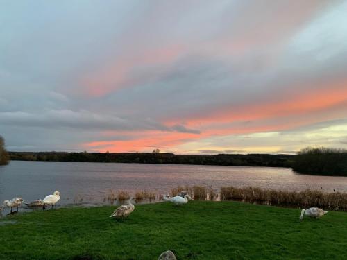 Навколишнє середовище, Lochside Loft - Self Catering Apartment for 2 In a great location for Inverness Airport and both Cab in Ардерсьєр