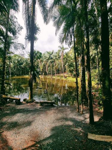 Hotel Jussara Cultural - Joinville