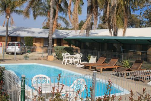 Swimmingpool, Lone Pine Motel in Corowa