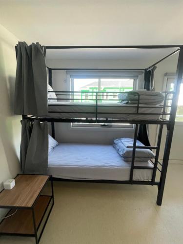 Bed in 4-Bed Dormitory Room