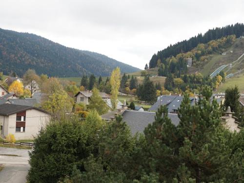 Appartement Autrans-Méaudre en Vercors-Autrans, 2 pièces, 6 personnes - FR-1-737-48