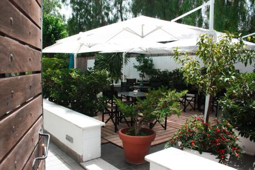 花園, Villa Calipso in 蒙德羅