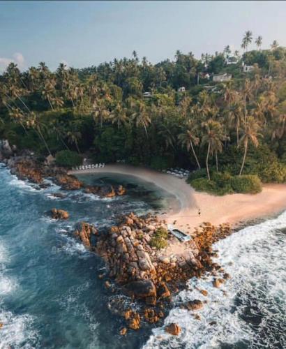 Bananas Mirissa in 米瑞莎