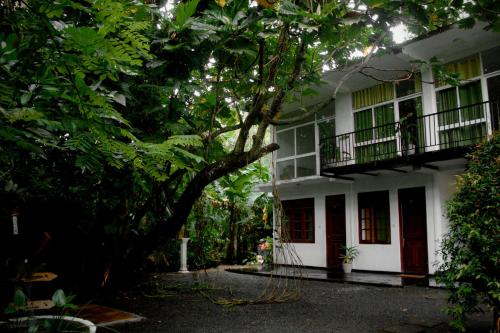 Bananas Mirissa in 米瑞莎