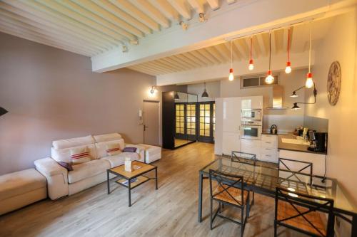 55 m2 Apart with big terrace in Annecy downtown 4