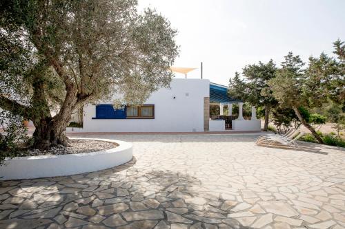 Can Toni Blay Can Toni Blay