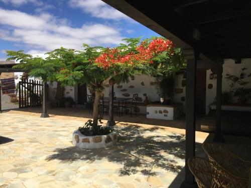 Casa Abuelo Rafael - image 13