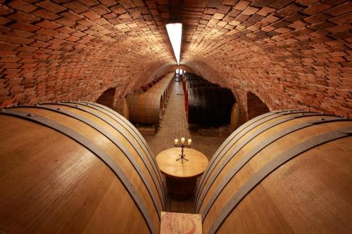 Vinařský pension André - image 14