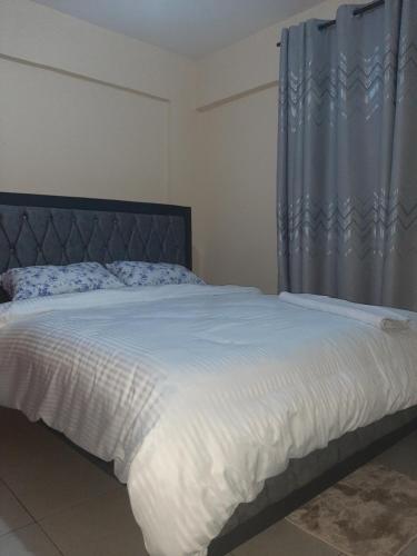 Elegant Furnished 2 bedroom Apartment in Nairobi Ngara