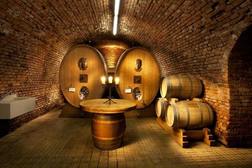 Vinařský pension André - main image