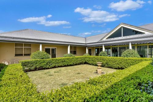 Olives and Vines at Majors Lane