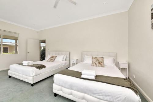 Olives and Vines at Majors Lane