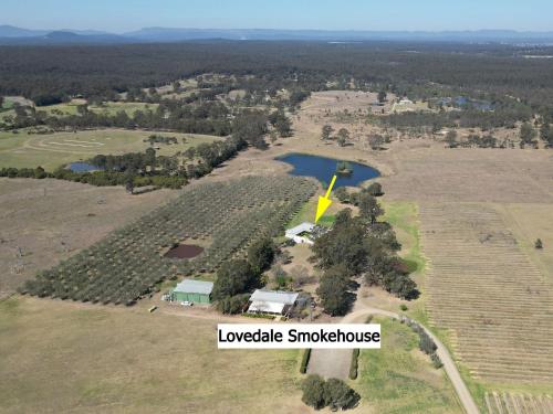 Olives and Vines at Majors Lane