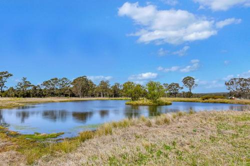 Olives and Vines at Majors Lane