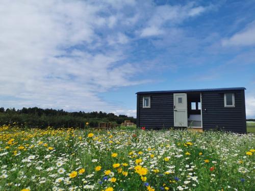 Clover Hut - Snettisham Meadows