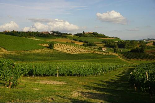  Il borghetto-2, Unterkunft in Grazzano Badoglio