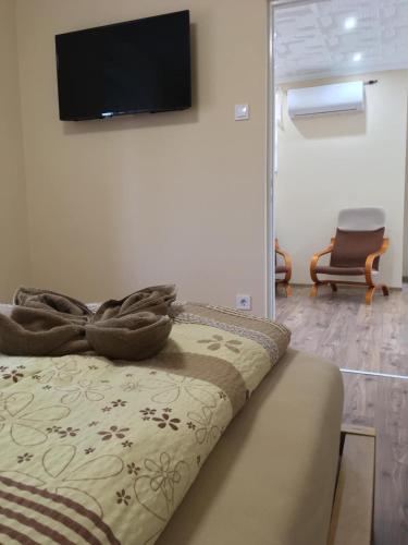 Zsófia Apartman, Hajdúszoboszló (Foto 4)
