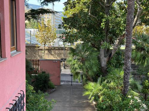 Villa Rosa Sorrento - image 7