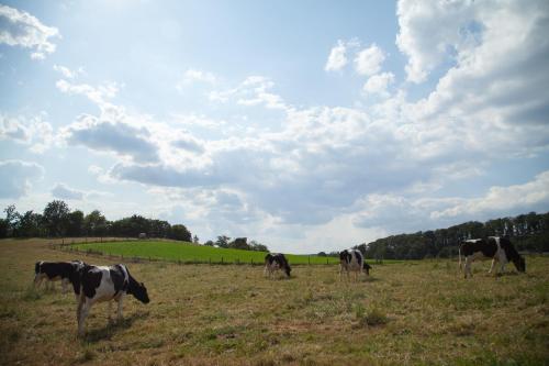 Vaade, Landgasthof Obersteberg in Sprockhövel