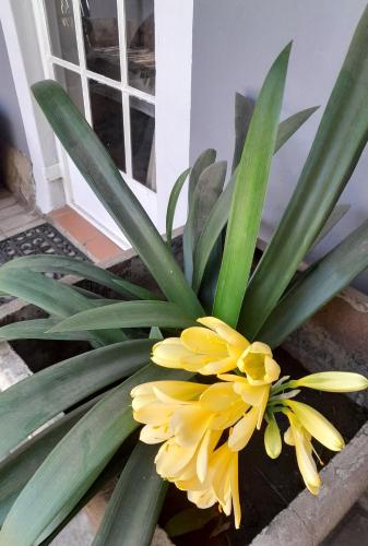 No. Forty2 on President No. Forty2 on President