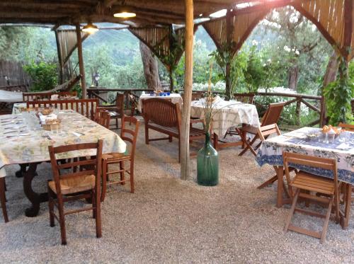 Agriturismo L'Olivara 5