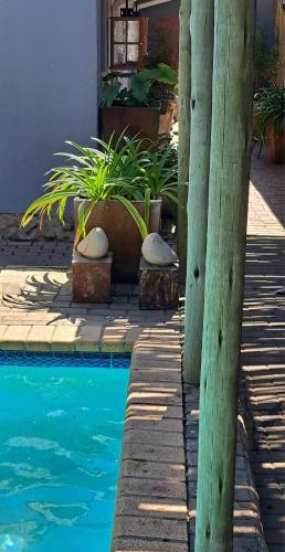 No. Forty2 on President No. Forty2 on President