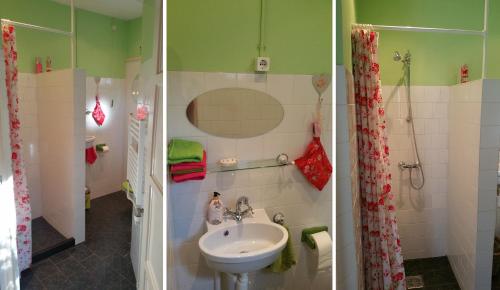 Bed and Breakfast Het Oude Bos in Wijnjewoude