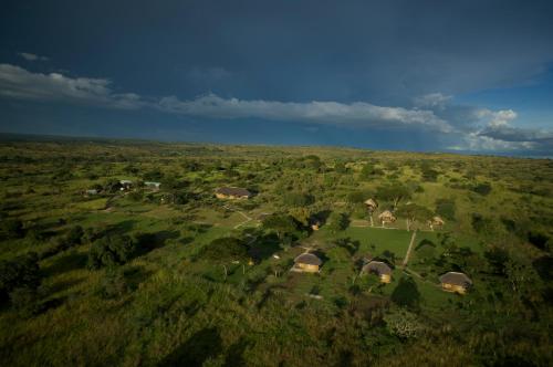 Bwana Tembo Safari Camp