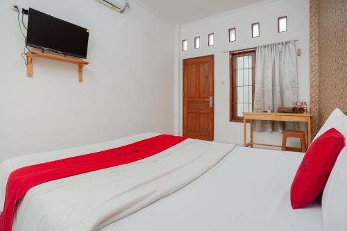 Standard Double Room image 4