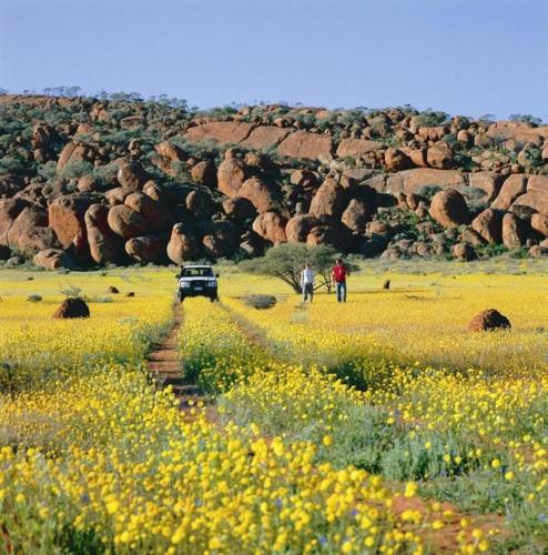 wooleen station