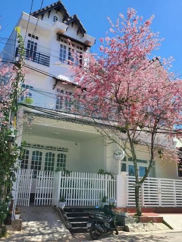 Homestay Thái Bình House