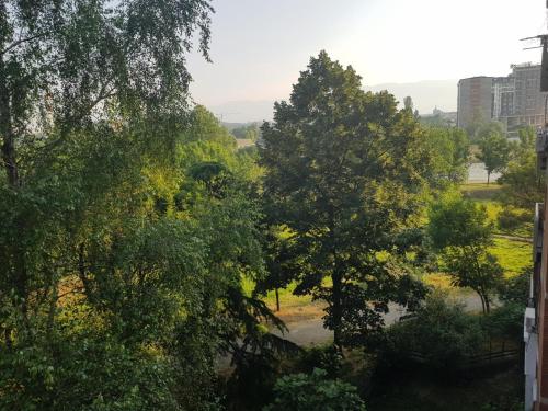 Miro's Place, Skopje (fotografie 2)