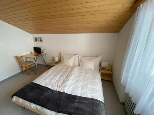 The Nest - great overview, Zermatt (fotografie 6)