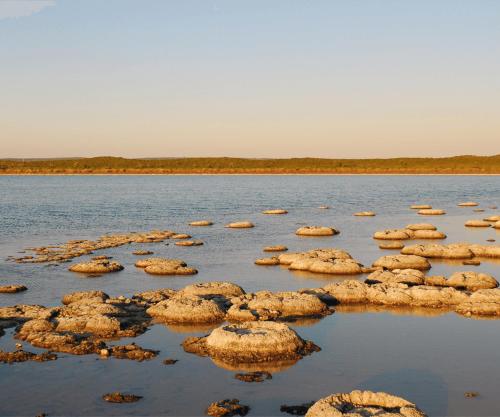 Nabij attractie, Cervantes Lodge in Cervantes