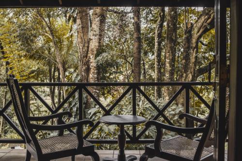 المنطقة المحيطة, فندق تري أوف لايف (Hotel Tree of Life) in نوجاويلا