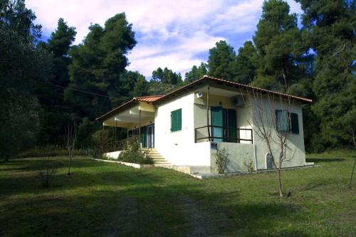 Pine Tree Cottage