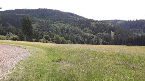 Surrounding environment, Ferienwohnung Bergwiese in Schwarzenbach am Wald