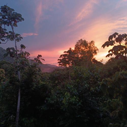 Casa en la Naturaleza