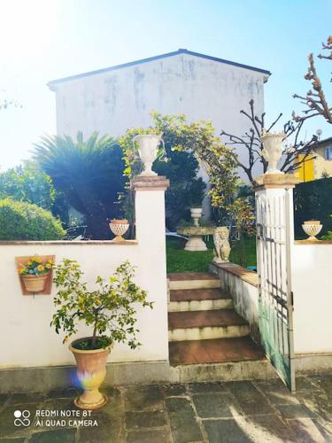 Villa Camelia le Tue Eleganti Vacanze a Lucca